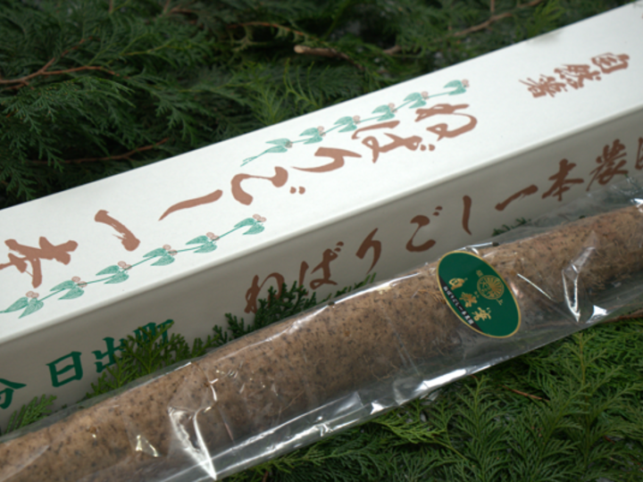 黒部産・超粘り！赤土粘土の典型的天然自然薯 260mm ≒580g 国産自然薯を通信販売でお取り寄せ【熊本県産】