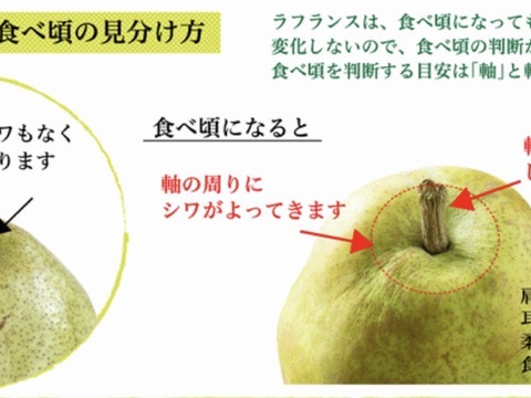 ★数量限定★スーパーラフランス【贈答用】（とろけるように甘い）ラフランス3kg箱