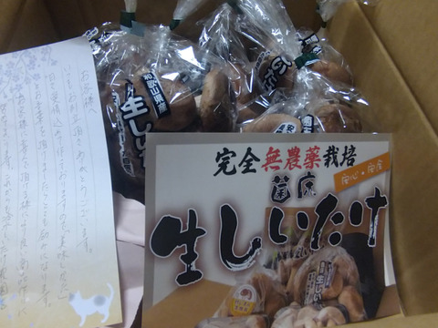 肉厚ボリュームの菌床生しいたけ1㎏！：和歌山県産のシイタケ