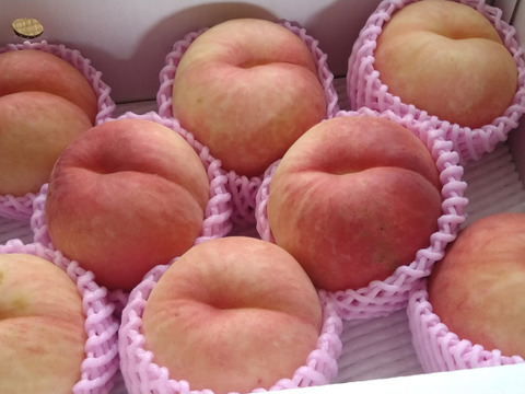 大きくて硬い桃　【おどろき】　3kg　8～14玉　8月下旬　希少な桃　収穫した日に発送　家庭用　農家直送