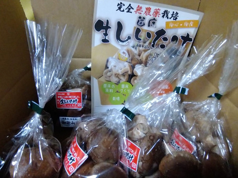 菌床生しいたけ！小さくても美味しい１㎏
