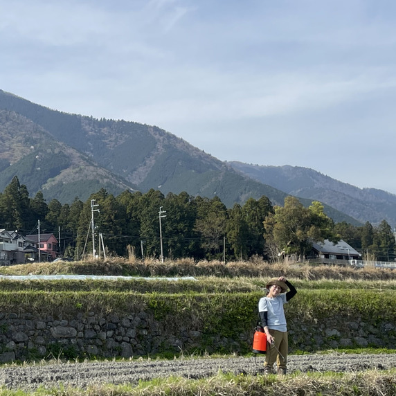 八百屋戸