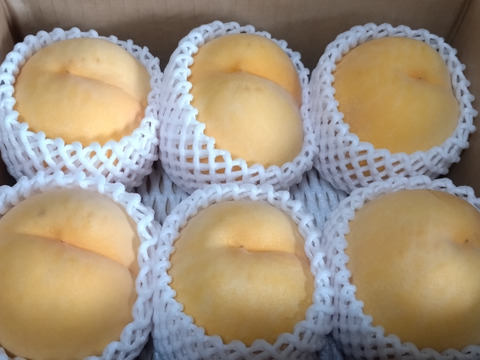 【黄桃🍑黄貴妃】やや硬めのジューシー系！訳あり 2kg
