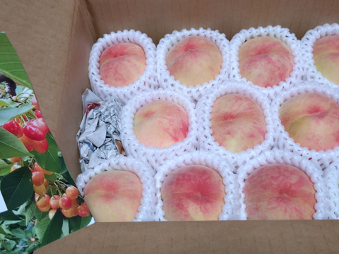 ８月上旬～　あかつき(家庭用)　１．５ｋｇ（４～９玉）