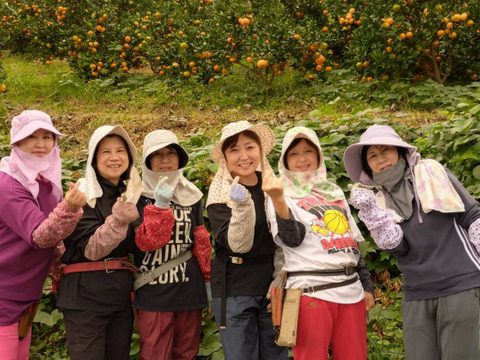 数量限定　「うまっ」ストレートみかんジュース 1本