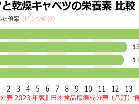 国産 乾燥キャベツ  350g ブドウ糖などの添加物一切不使用 乾燥野菜 アウトドア キャンプ スープ 保存食 時短 岡山 蒜山高原産
