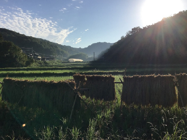 安心を食卓へ