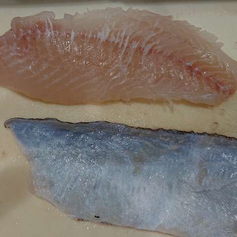幻の魚 ｱｺｳ ｷｼﾞﾊﾀ 0 2 0 4 5匹 香川県のレビュー一覧 食べチョク 産地直送 産直 お取り寄せ通販 農家 漁師から旬の食材を直送
