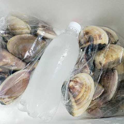千葉県九十九里地はまぐり 2キロ入 期間限定セール品 千葉県のレビュー一覧 食べチョク 農家 漁師の産直ネット通販 旬の食材を生産者直送 千葉県九十九里地はまぐり 2キロ入 期間限定セール品 千葉県のレビュー一覧 食べチョク 農家 漁師の産直ネット通販 旬の食材を生産者直送