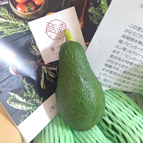 幻の国産 愛媛アボカド 約1 愛媛県のレビュー一覧 食べチョク 産地直送 産直 お取り寄せ通販 農家 漁師から旬の食材を直送
