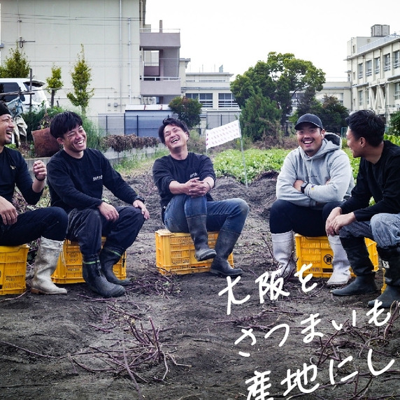 【オオサカポテト】大阪さつまいも農家