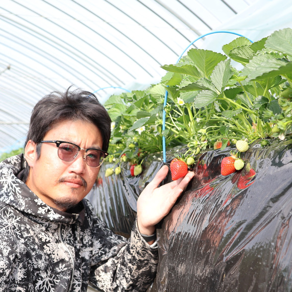 瀬戸農地　 すべての生産者｜72ページ目｜食べチョク｜産地直送(産直)お