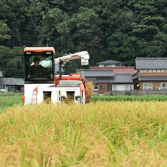 カメダ