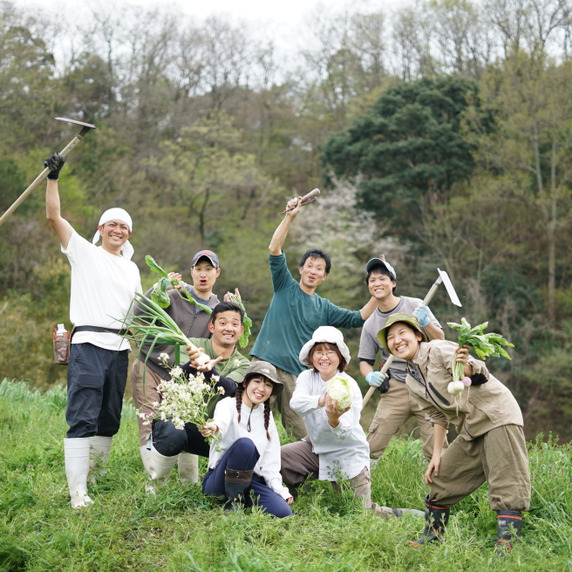 てんとうむしばたけ