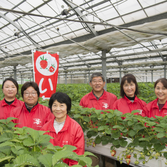 ベリープラント喜平