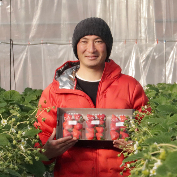 berry_plants_factory