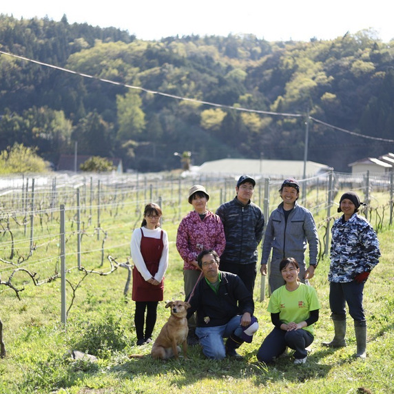 山野峡大田ワイナリー