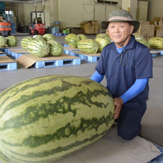 菊川農園