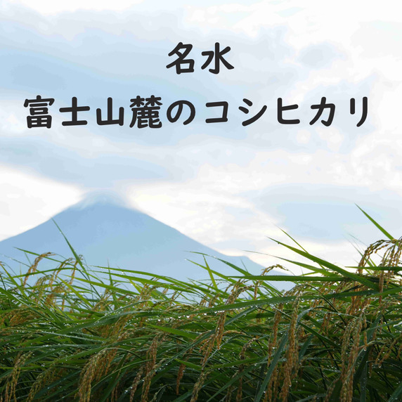 岩田屋本店　農業部