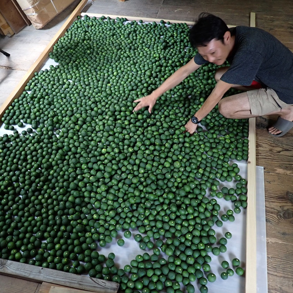 クニモトすだち農園