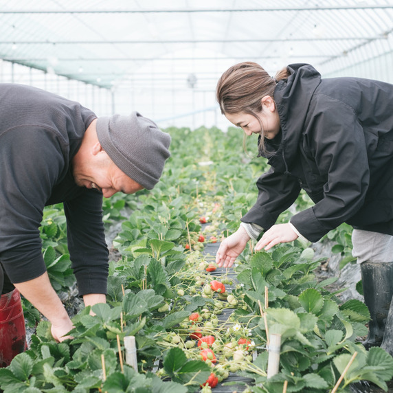 KAWAKATSUFARM
