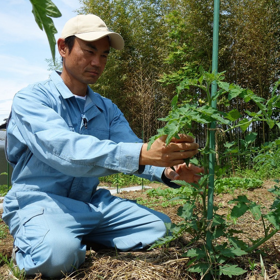 自然農園そらみず