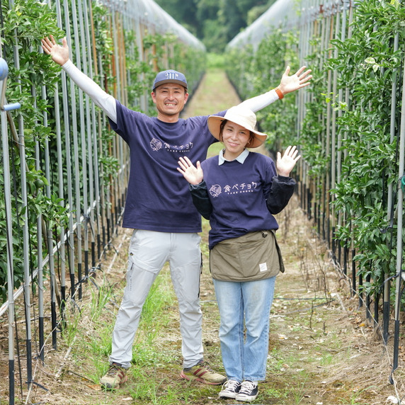 宝Farm