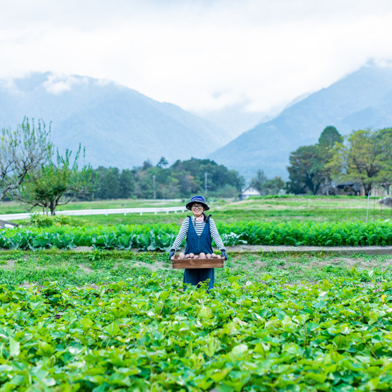 北の杜FARM