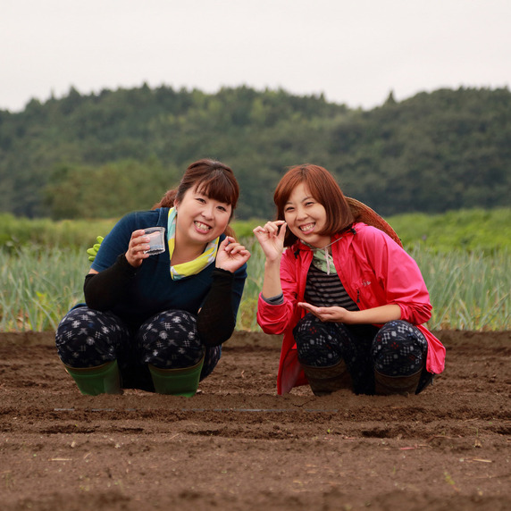 三春と歩のがっこやさん