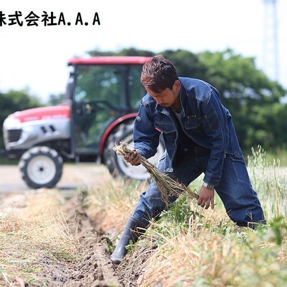 A.A.A　El Campo Farm