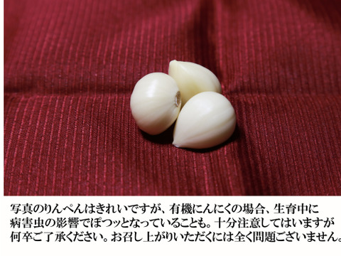 （有機にんにく）青森県田子町産にんにくMサイズ上級品（A,B規格）1kg