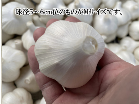 （有機にんにく）青森県田子町産にんにくMサイズ上級品（A,B規格）1kg