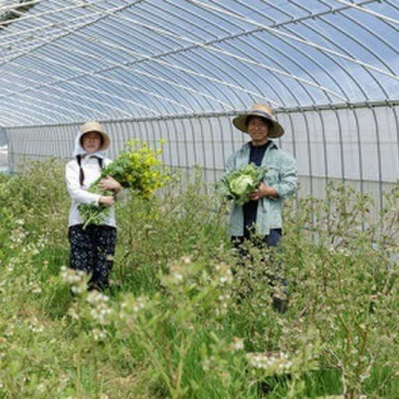 木の葉農園