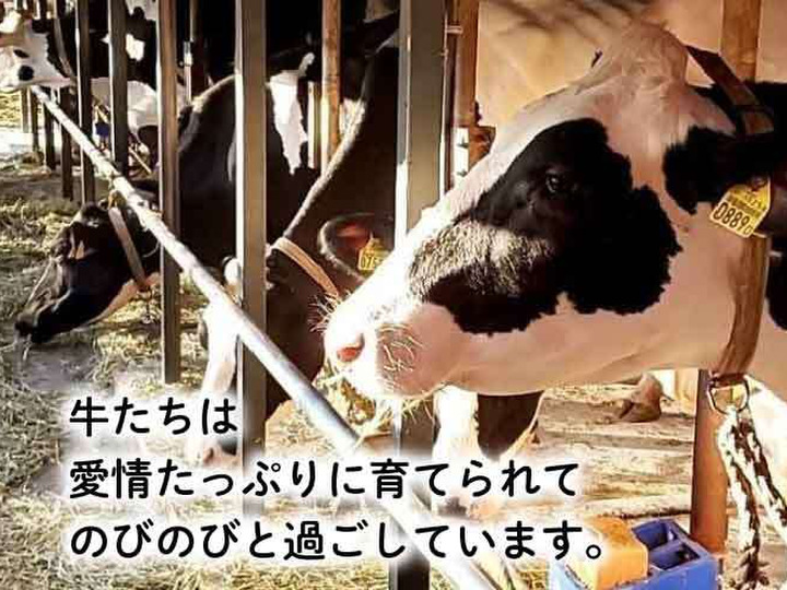 野田牧場へのレビュー・商品：滋賀県｜食べチョク｜産地直送(産直)お