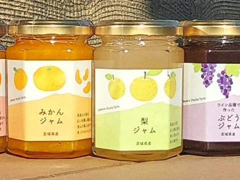 茨城県産　果物ジャム４種セット160g×4本