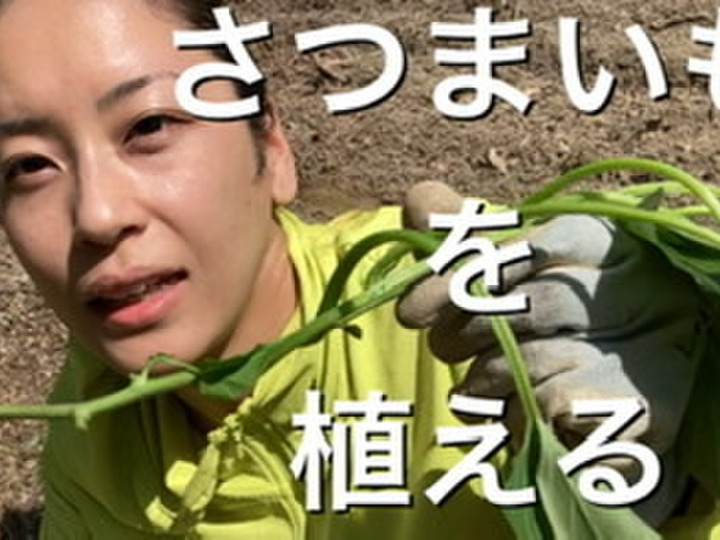 YouTubeで生産状況を公開しております