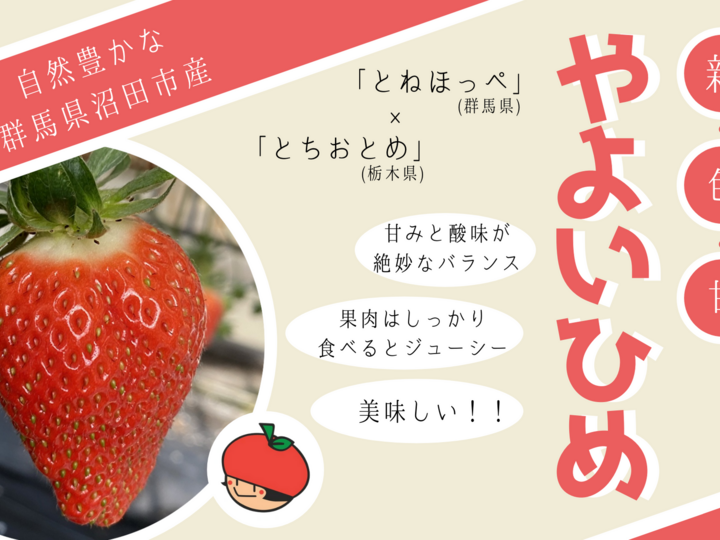 いちご(やよいひめ)4パック1箱:群馬県産の野菜|食べチョク|産地直送(産直)お取り寄せ通販 - 農家・漁師から旬の食材を直送 いちご(やよいひめ)4パック1箱:群馬県産の野菜|食べチョク|産地直送(産直)お取り寄せ通販 - 農家・漁師から旬の食材を直送