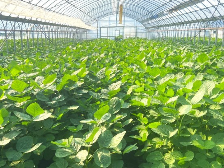 生産者のこだわり