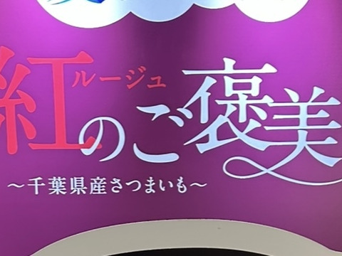 【訳あり】甘い　ほしいも　シロタ　べにはるか　香取市産　(ご家庭用　200g)