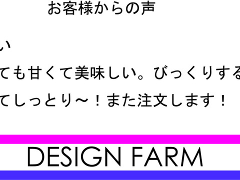 【千葉県産】熟成べにはるか　しっとり甘い！冬の寒い時期は蜜入りになることも！おせち料理、焼き芋、スイートポテトにも。