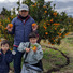 宮武Farm
