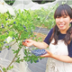 女化ブルーベリーの森