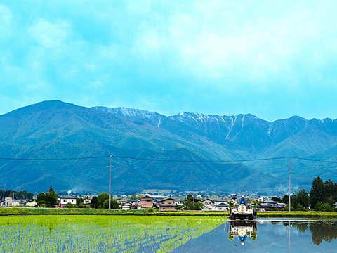 【４０％オフ】貴重なオーガニック米で作った飲む美容液！【無添加】風さやか 米麹甘酒１８０㎖ ４本セット