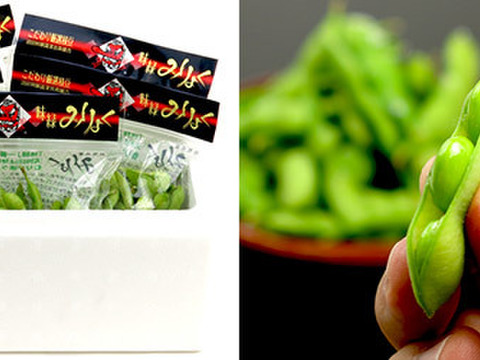 天狗印枝豆　味緑（みりょく）250g×8袋