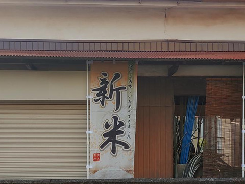 令和6年新米「はるみ」5Kg 「1名様限定」　冷めても美味しい