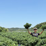CREATE AGRI