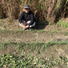 タカハナリ農園
