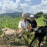 Yagi Ninniku  OGAWA FARM