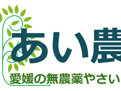 【数量限定】採れたて新鮮スナップエンドウ1kg