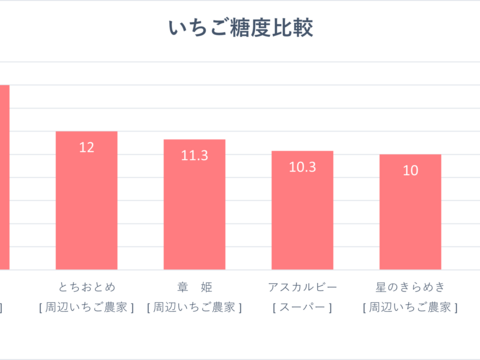 今シーズン初いちご！いちご博銀賞受賞！驚く甘さの三田産章姫、箱入り　（30粒入り）
